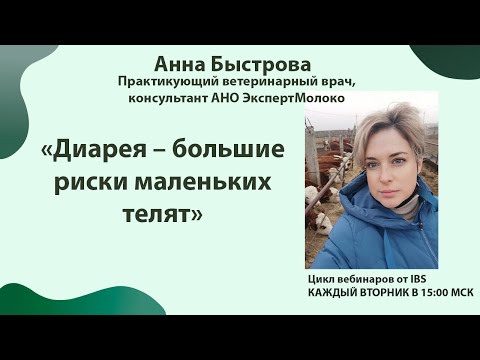 Видео: 25.04 Анна Быстрова с темой «Диарея – большие риски маленьких телят»