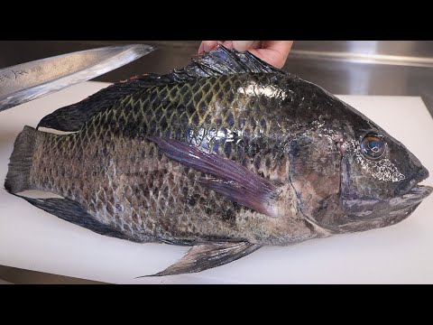 Видео: Я пробовал есть рыбу, выращенную в японских канализациях