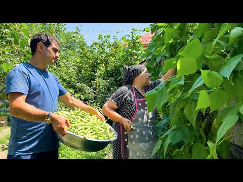 Видео: Плов с фасолью | Турецкий борек | баклажаны на барбекю | Лучший рецепт сладостей в деревне