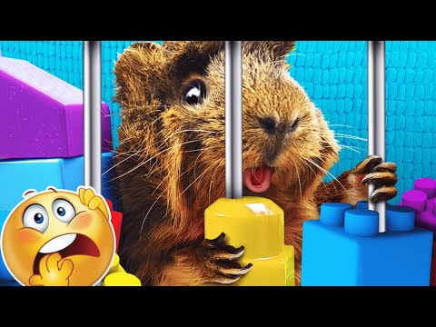 Видео: СЕКРЕТНАЯ LEGOТЮРЬМА для Свинки Бузи