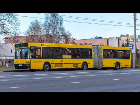 Видео: Автобусы г.Гомеля 2 Часть