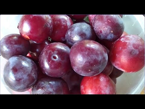 Видео: Как сделать домашний уксус из алычи?