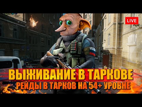 Видео: ВЫЖИВАНИЕ В ТАРКОВЕ