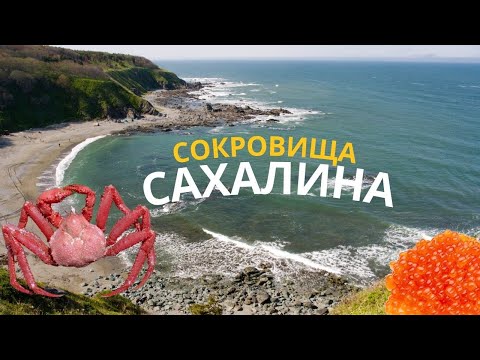 Видео: САХАЛИН / Икра, крабы, лосось - не главное? / Зачем сотни тысяч туристов едут на остров