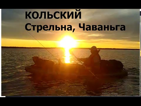 Видео: Кольский Стрельна Чаваньга