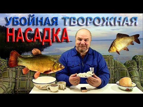 Видео: ЛИНЬ,карась,карп,плотва...Убойная ТВОРОЖНАЯ НАСАДКА !