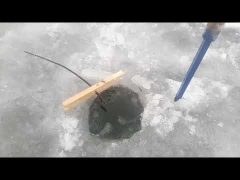 Видео: Рыбалка касынками зимой. Мастер класс. Проверка, улов рыбы и раков в косынки рыболовные.