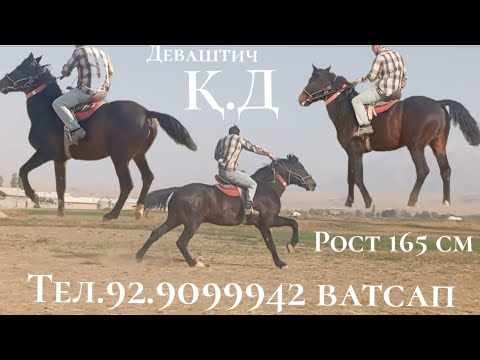 Видео: Асп фурухта шуд!!🤝🤝🤝