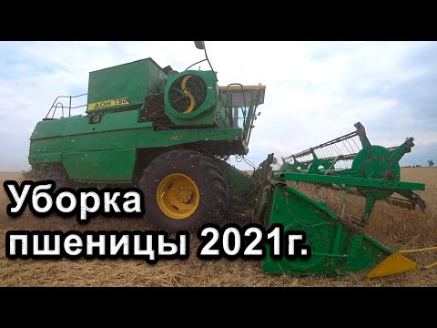 Видео: Уборка пшеницы 2021г! ДОН-1500б. Первый день!