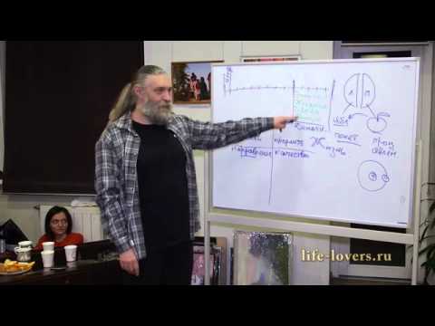 Видео: Как мы выбираем друг друга?