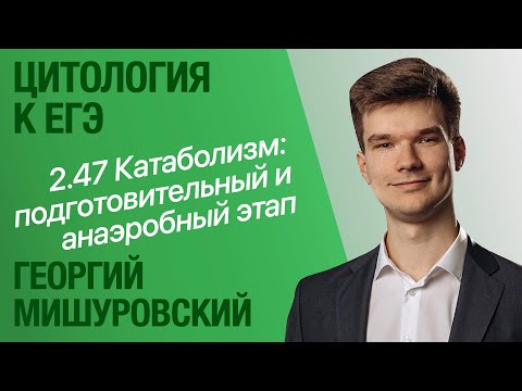 Видео: 2.47. Катаболизм: подготовительный этап и гликолиз | Цитология к ЕГЭ | Георгий Мишуровский