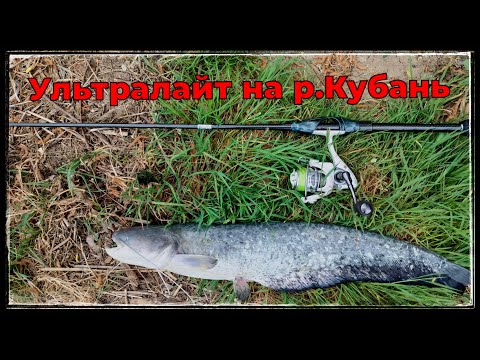 Видео: Рыбалка с ультралайт спиннингом на р.Кубань.