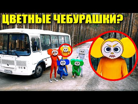 Видео: Если вы увидите этот автобус ЦВЕТНЫХ ЧЕБУРАШЕК, не проезжайте мимо него! Уезжайте БЫСТРО!