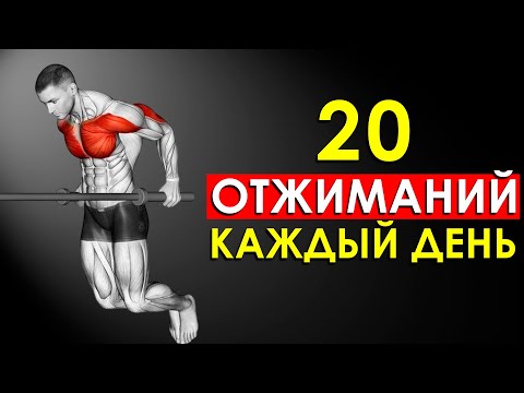 Видео: Вот Что Произошло с Моим Телом, Когда я Начал Отжиматься на Брусьях по 20 Раз Каждый День (Удивляет)