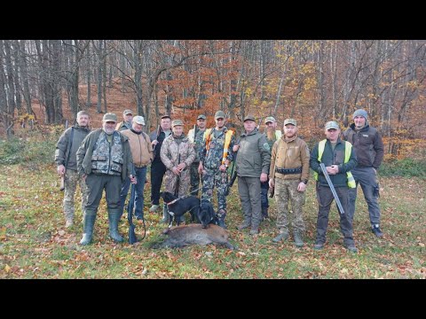 Видео: Коломийська організація УТМР розпочала регулювання кількості хижаків