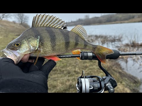Видео: ЗИМОВА РИБАЛКА ОТ ЦЕ ТАК МІСТЯК НА окуня! Риболовля 2024