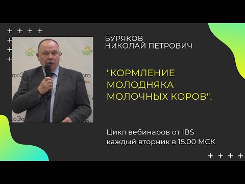 Видео: КОРМЛЕНИЕ МОЛОДНЯКА МОЛОЧНЫХ КОРОВ  Лектор : Буряков Николай Петрович