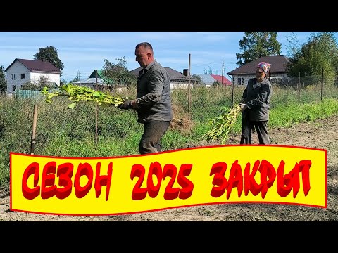 Видео: ПОСЛЕДНИЕ ТАБАЧНЫЕ РАБОТЫ. ГОТОВИМ ЗЕМЛЮ к сезону 2026. УРОЖАЙ ПОМИДОРОВ порадовал. ЖИЗНЬ В ДЕРЕВНЕ.