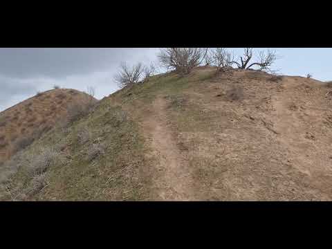 Видео: Кабодиён  сурхиё  🇹🇯