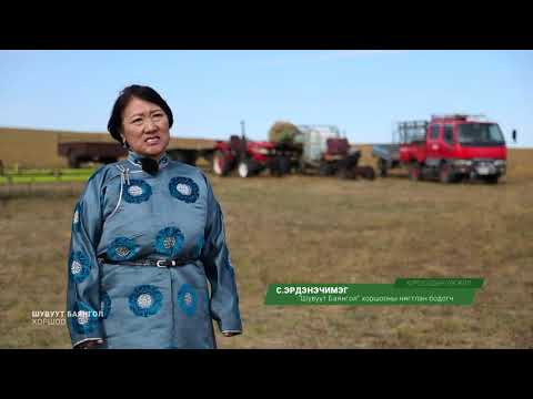 Видео: Shuvuutei Bayangol Cooperative Шувуут баян гол хоршоо