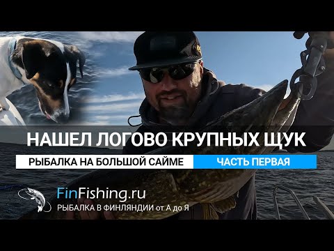 Видео: Логово крупной щуки на большой Сайме в Финляндии. Супер рыбалка!