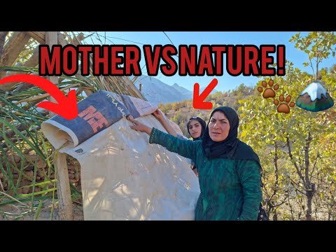 Видео: Одинокая мать накрыла крышу домика, чтобы защититься от снега и диких животных.