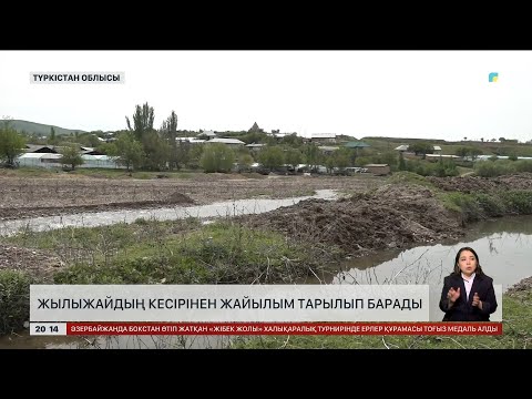 Видео: Түркістан облысында жылыжайдың кесірінен жайылым тарылған