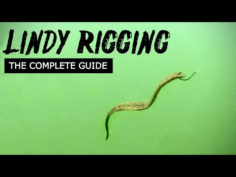 Видео: Lindy Rigging Walleyes (Полное руководство)