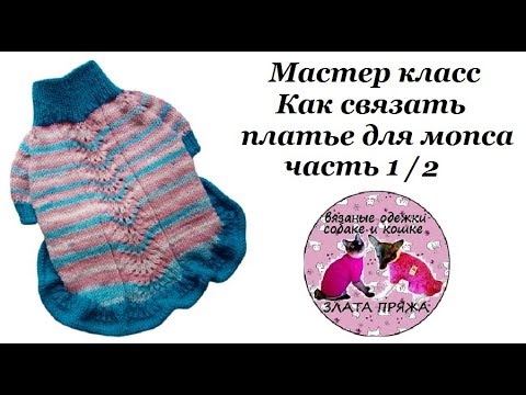 Видео: МК Как связать платье для мопса ч1.