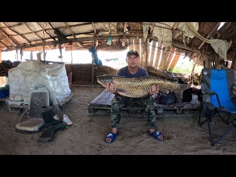 Видео: Рыбалка в Дельте Или. Белый Амур на камыш. Первый Амур пойман и сразу трофей.