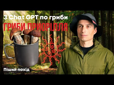 Видео: З Chat GPT по гриби. Натуралістичний похід за грибами Приорілля. Мальовнича осінь, фото, відпочинок.