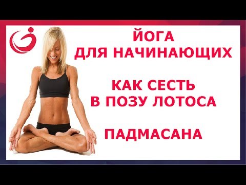 Видео: Йога для начинающих. Как сесть в Позу Лотоса. Падмасана.