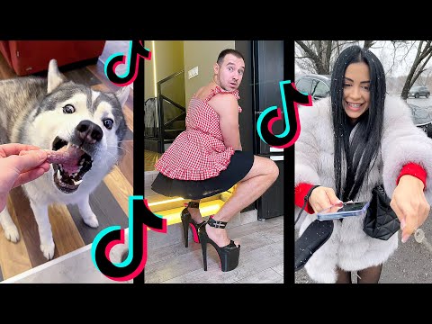 Видео: Самые Популярные Tik Tok приколы про собак хаски / Лучшее из Тик Ток 2021 - Тренды HUSMUT