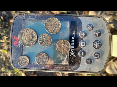 Видео: Рекомендую  Погода удалась.Накопал монет.