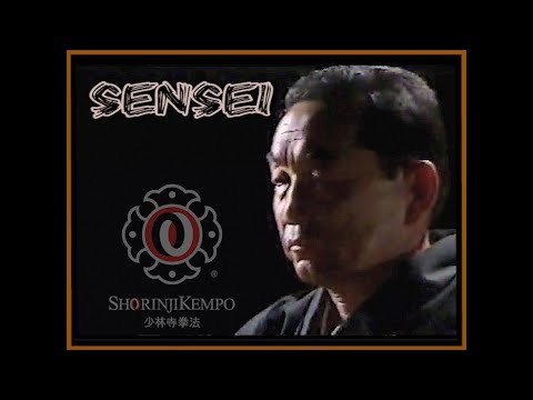 Видео: Легендарный сэнсэй Сёриндзи Кэмпо Мори ДОКИ. Гранд Мастер 8 дан, боевые искусства 森 道 基 先生 少林寺 拳法