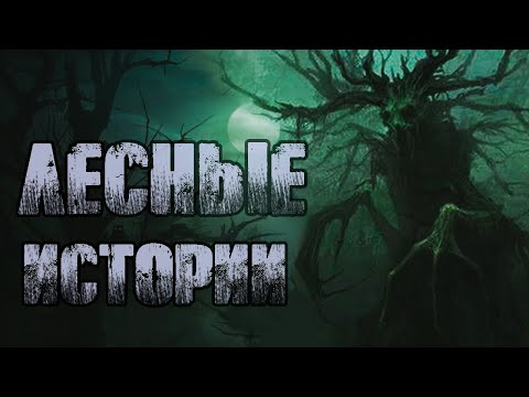 Видео: ЛЕСНЫЕ ИСТОРИИ | Страшные истории
