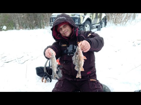Видео: Рыбалка в Якутии. 33 окуня с одной лунки на балансир и блесна.