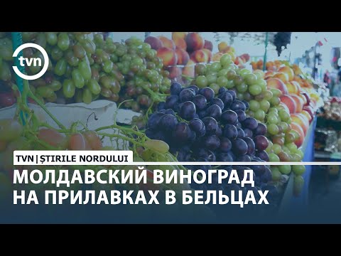 Видео: МОЛДАВСКИЙ ВИНОГРАД НА ПРИЛАВКАХ В БЕЛЬЦАХ