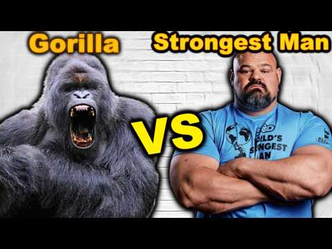 Видео: Каких животных СИЛЬНЕЙШИЙ ЧЕЛОВЕК МИРА мог бы победить в бою?