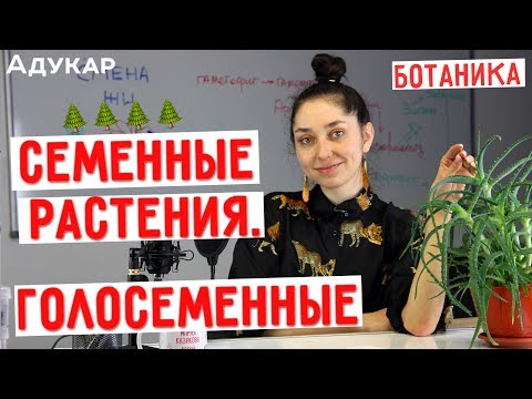 Видео: Семенные растения. Голосеменные | Биология ЕГЭ, ЦТ