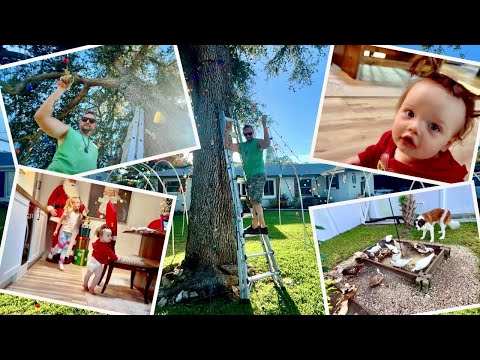 Видео: Смех, свет и маленькие ножки: трогательный семейный день