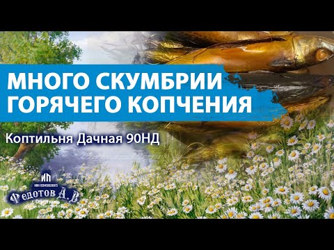 Видео: Много скумбрии горячего копчения. Коптильни ИП Федотов А. В.