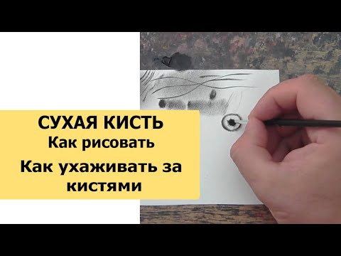 Видео: КАК РИСОВАТЬ СУХОЙ КИСТЬЮ И КАК УХАЖИВАТЬ ЗА КИСТОЧКАМИ?