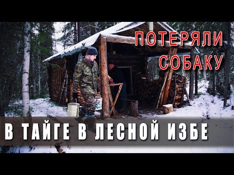 Видео: Поход в тайгу в лесную избу! 🌲 Зима в ноябре. ❄