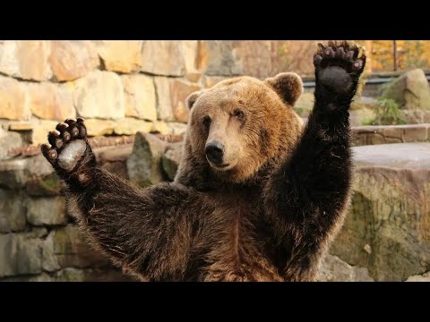 Видео: КАРТА ДНЯ НА 16 СЕНТЯБРЯ 2025 ГОДА