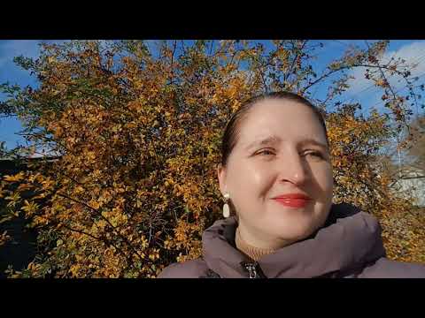 Видео: СТРАШНОЕ УТРО🫢 В АШАНЕ ПОЯВИЛАСЬ НОВОГОДНЯЯ КОЛЛЕКЦИЯ 2026! 