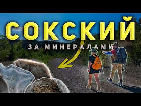 Видео: ОКАМЕНЕЛОСТИ В МИНЕРАЛАХ?! | Следы ДРЕВНЕЙ жизни в камне | Поход за кремнями