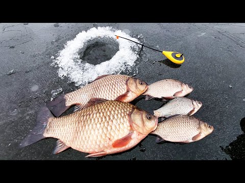 Видео: ⛔️НЕБЕЗПЕЧНА рибалка. Здоровенні КАРАСі з криги 2025.