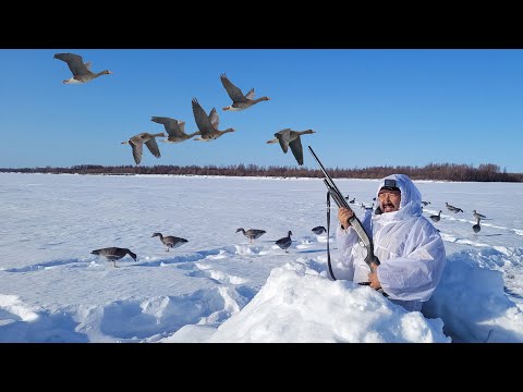 Видео: ОХОТА НА ГУСЯ НА КОЛЫМЕ ВСЕ СЕРИИ! GOOSE HUNTING IN SIBERIA ALL SERIES. GÄNSEJAGD IN KOLYMA
