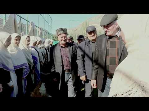 Видео: Рахалазул буртина